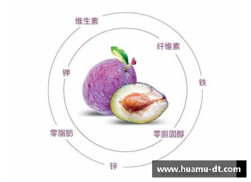 西梅之魅：探索古老果实的传奇与营养价值