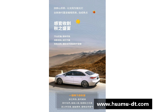 阿尔法罗特：探索未知的智能世界