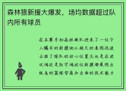 森林狼新援大爆发，场均数据超过队内所有球员